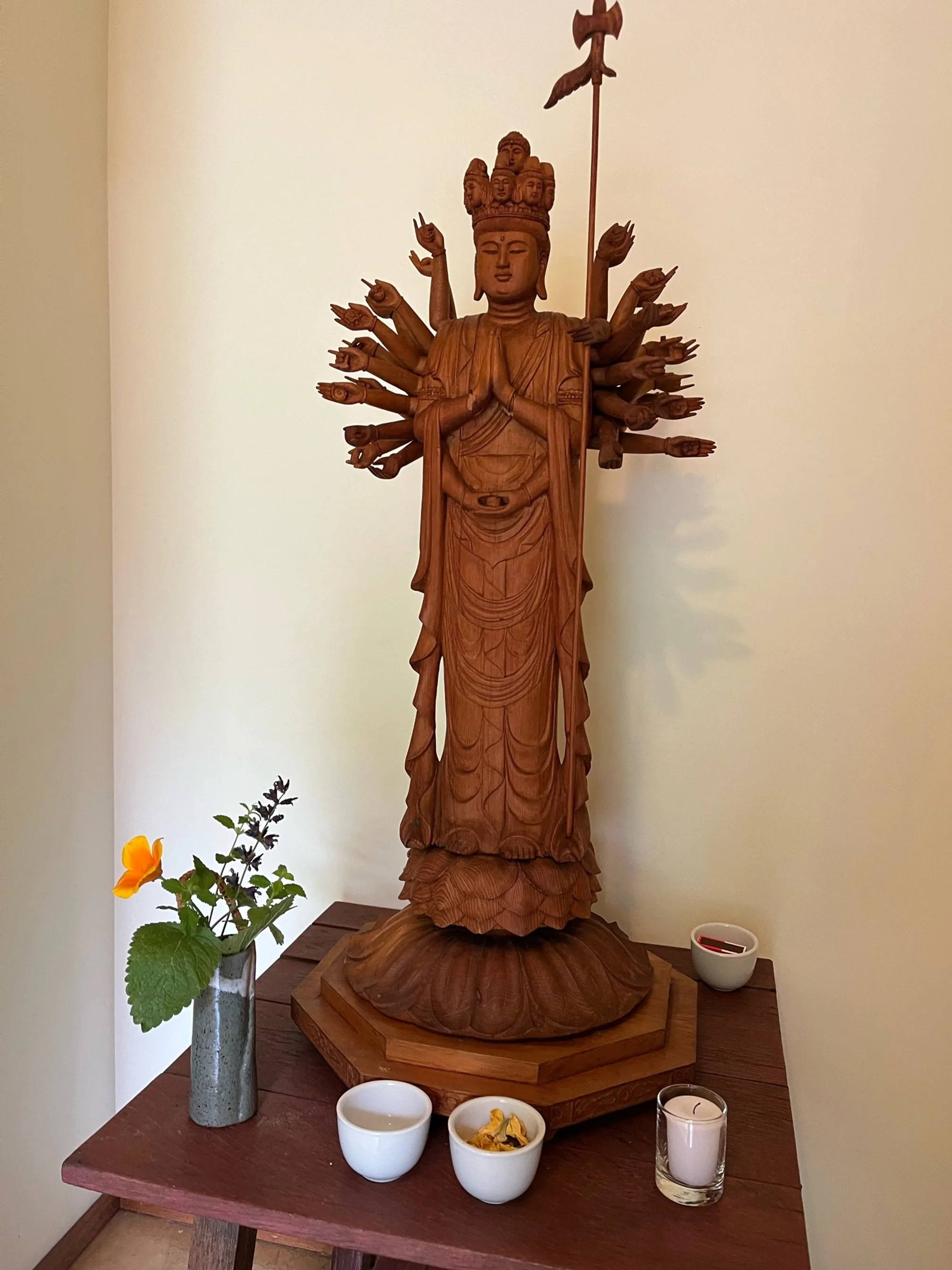 Mountain Rain Practice Space Survey