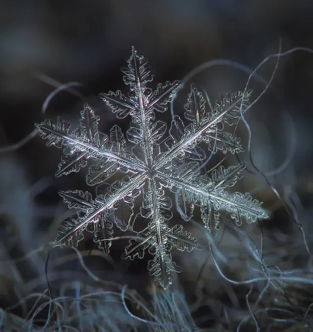 Winter Solstice Celebration