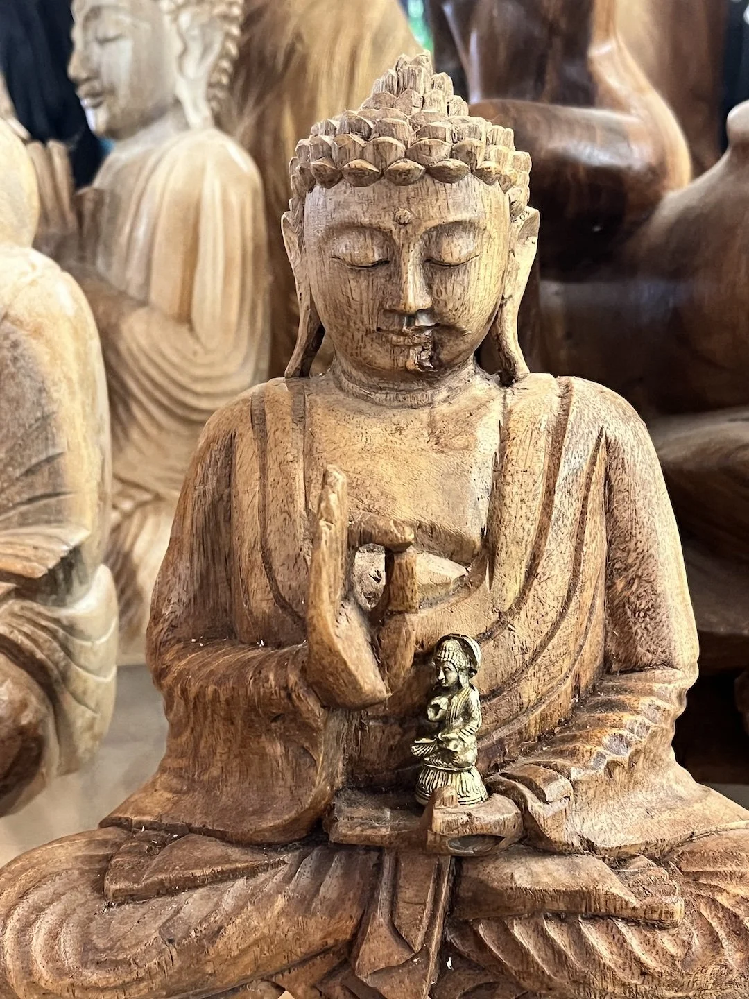 Annual Fundraising Appeal