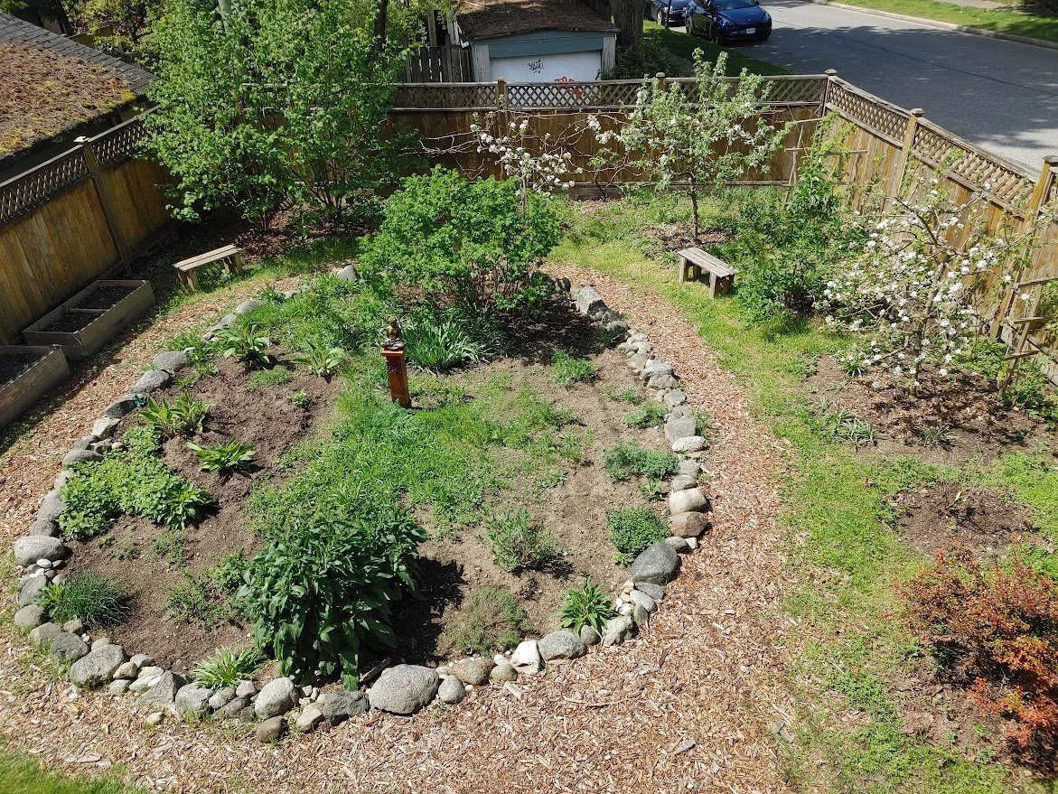 3 back garden.jpg