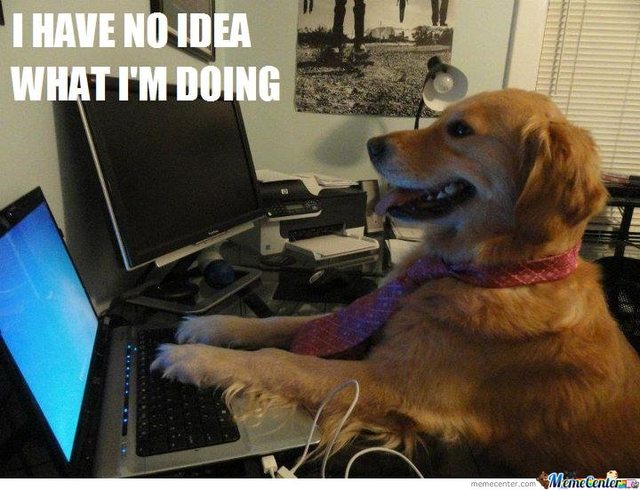 First week at work.