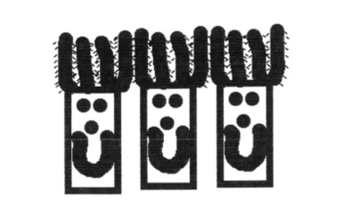 Cactusheadlogo.jpg