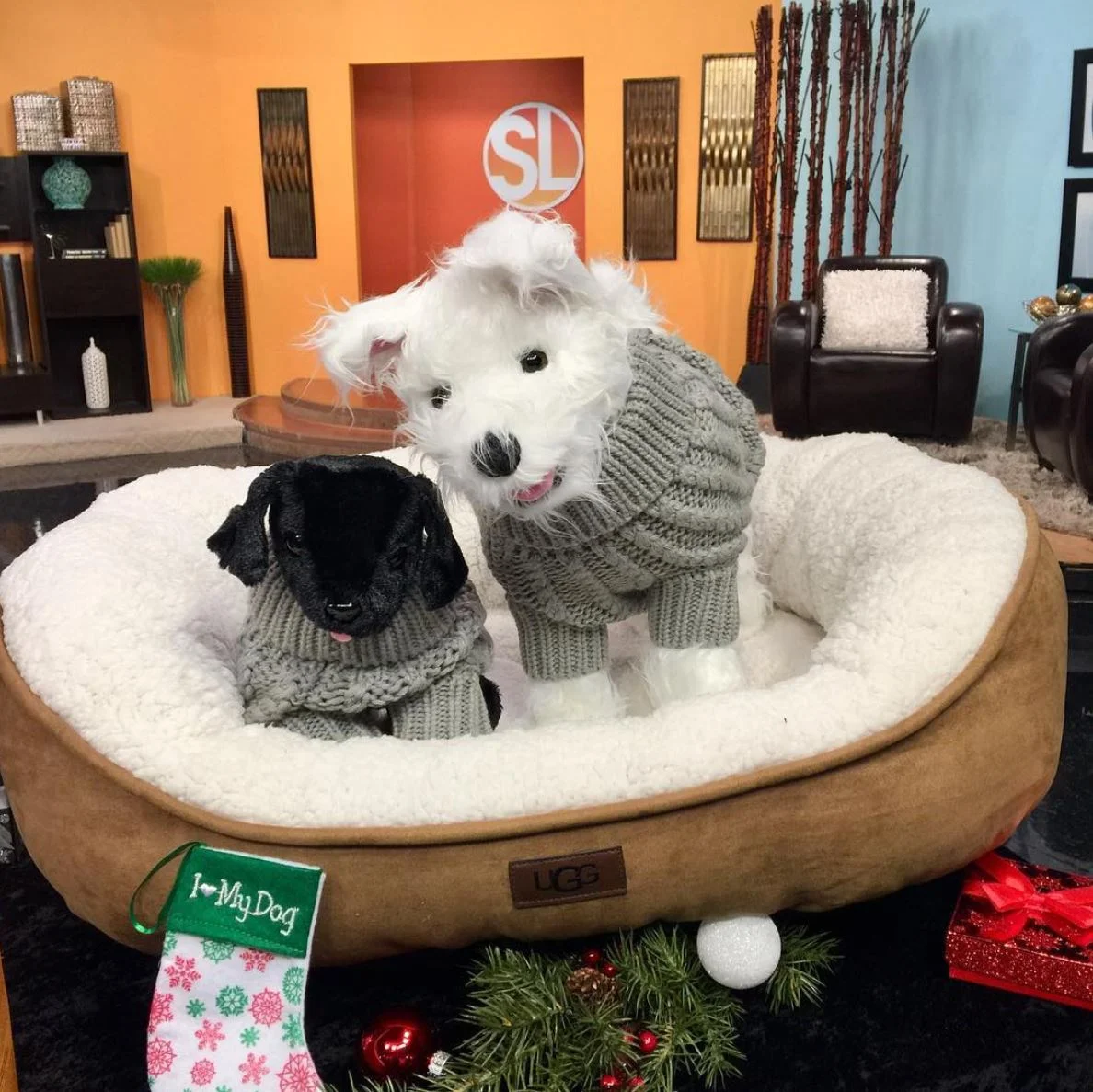 bed bath beyond ugg dog