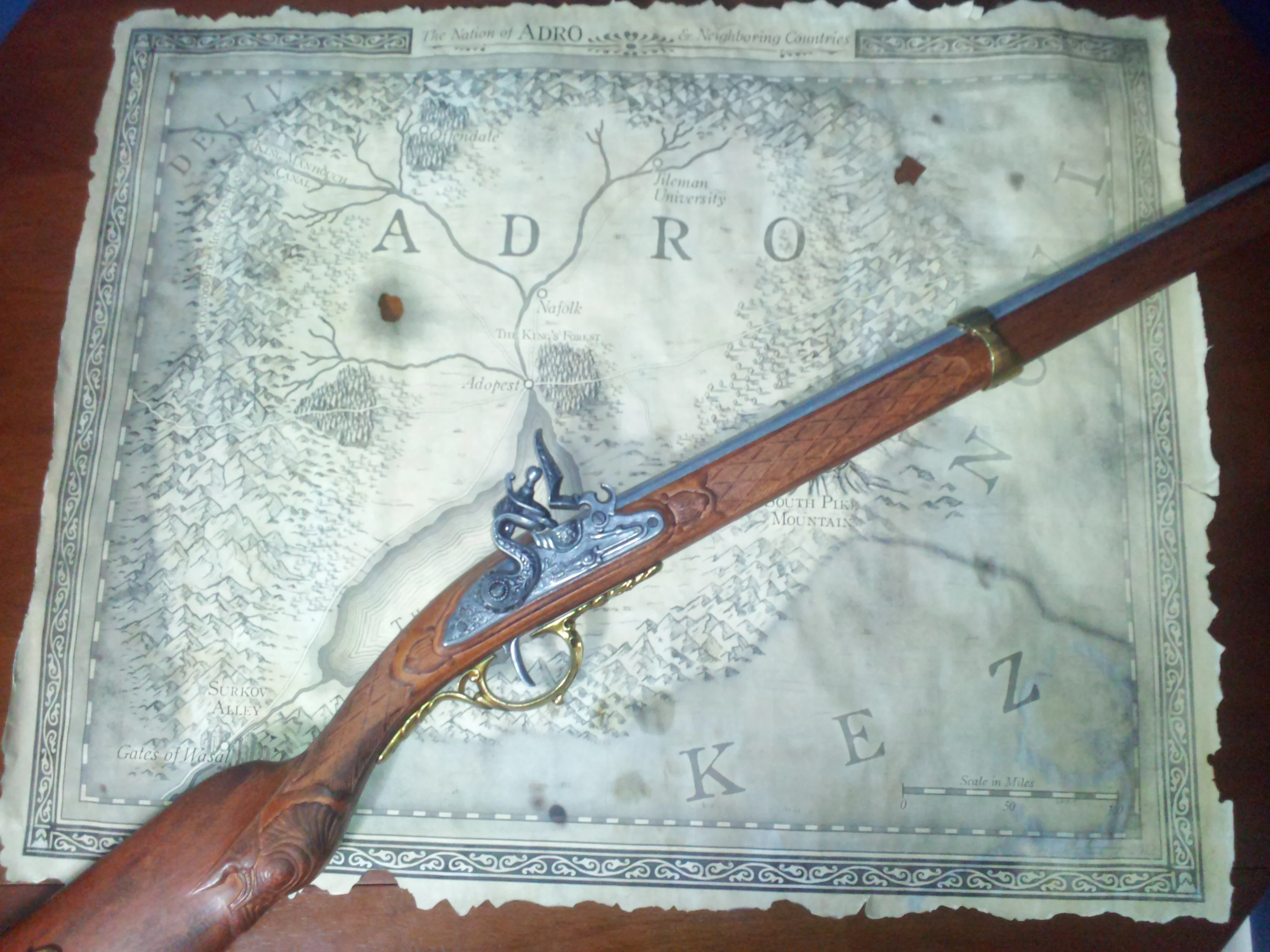 Book Launch Party for The Crimson Campaign