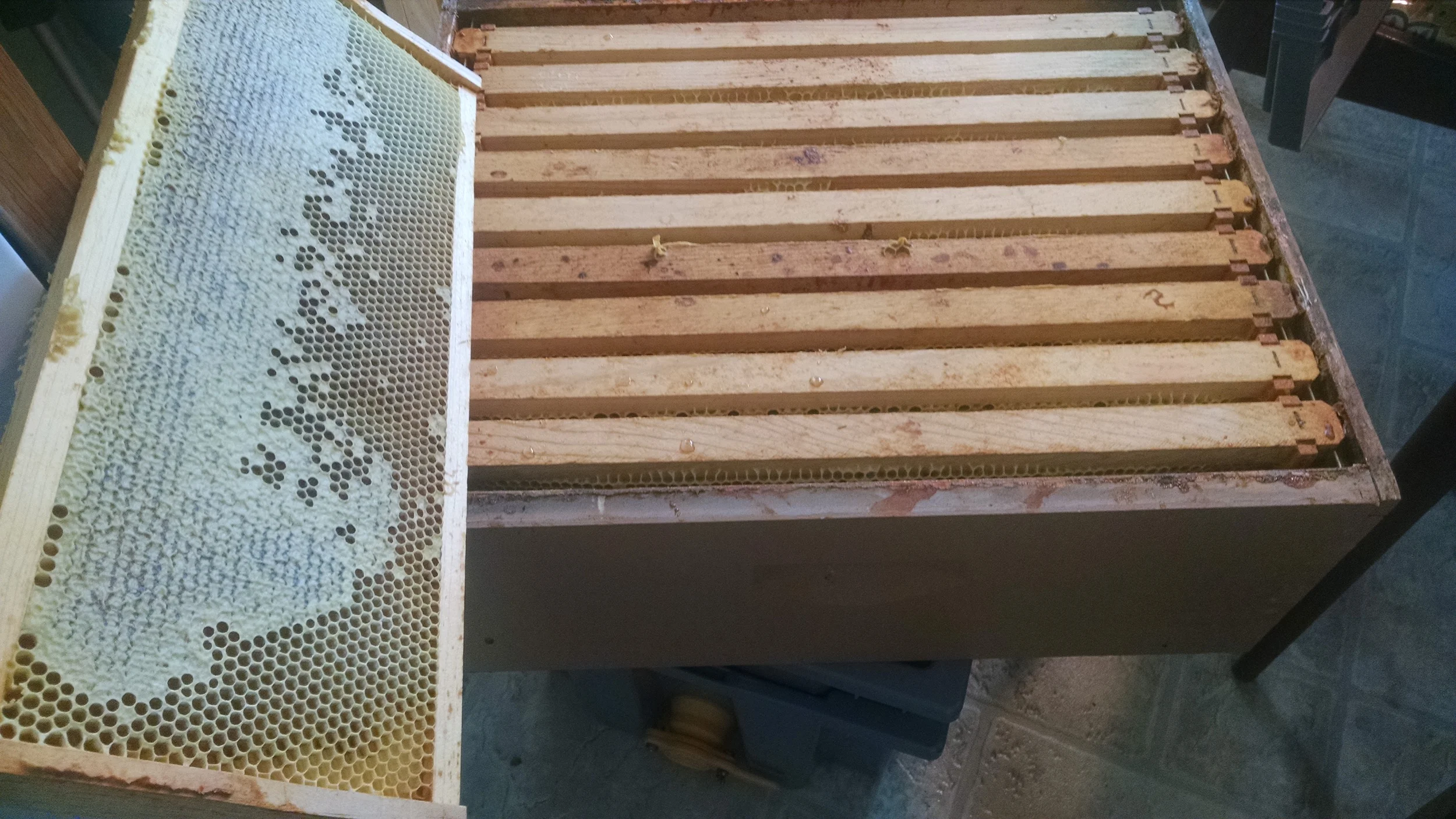 A super full of honey.