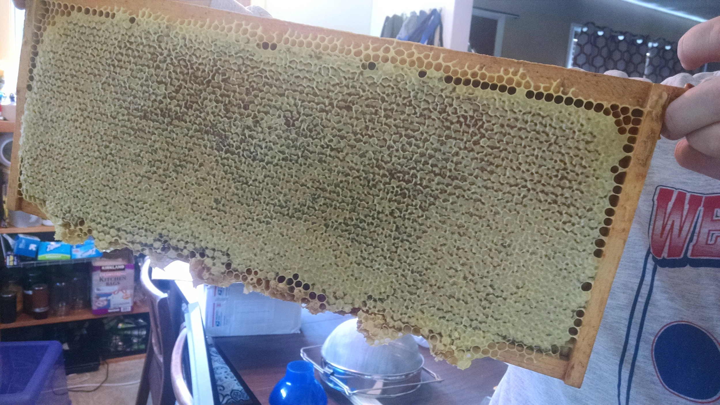 A frame full of capped honey. Pretty much the ideal frame.