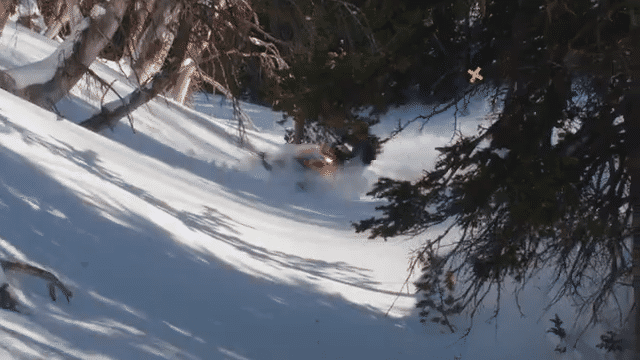 Arctic Cat 2022 _ Riot-low.gif