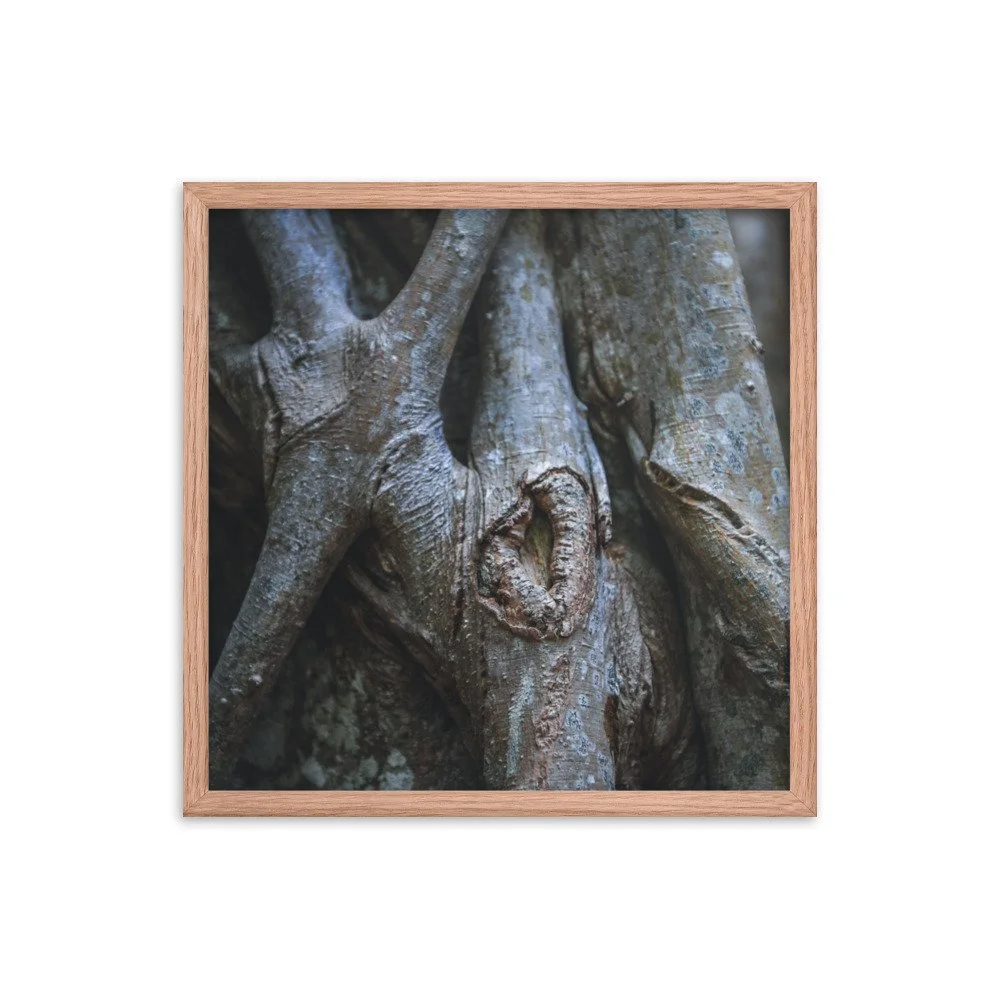 premium-luster-photo-paper-framed-poster-(in)-red-oak-18x18-transparent-639d3bd8be5d0.jpg