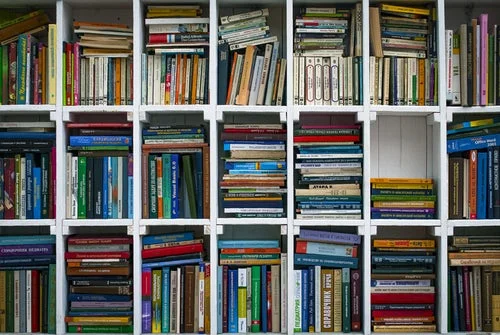 Bookshelves.jpg