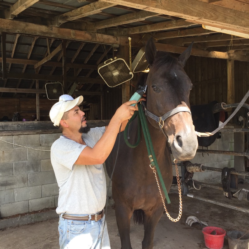 Biara getting body clipped by Joaquim Beltrane, so she'll look gorgeous for the trip to Texas!