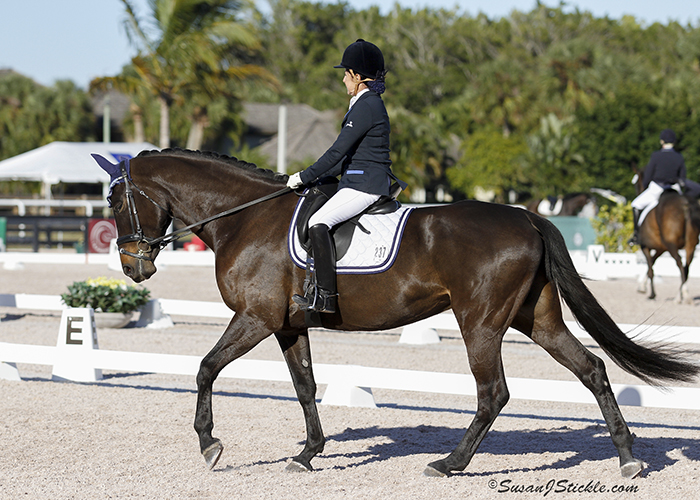 Debbie and Biara showing at the Global Dressage Festival in Wellington, FL. Photo: Sue Stickle