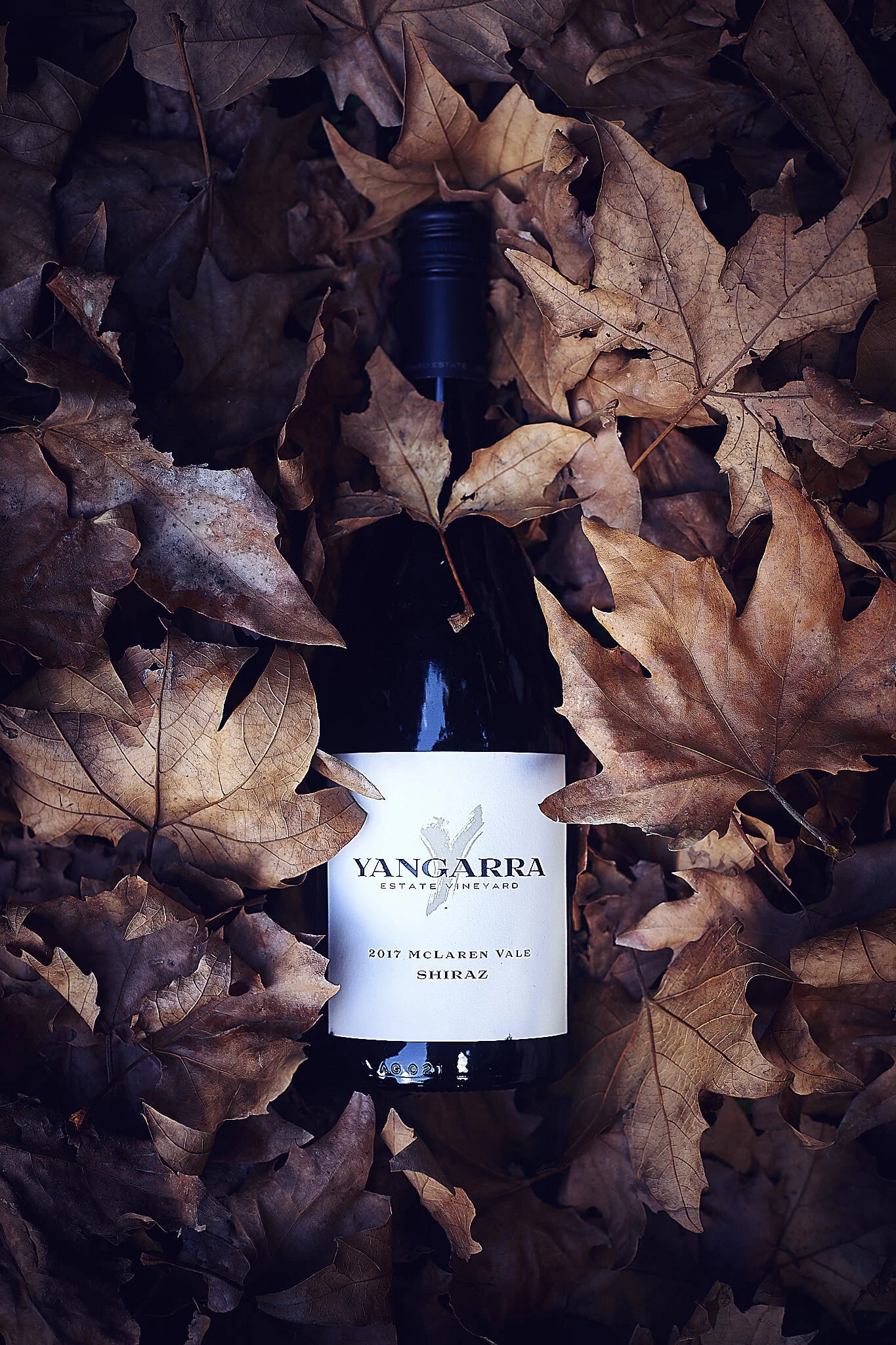 Yangarra Shiraz 2017_20-05-01_IMG_2580_2048px Web Res_2.jpg