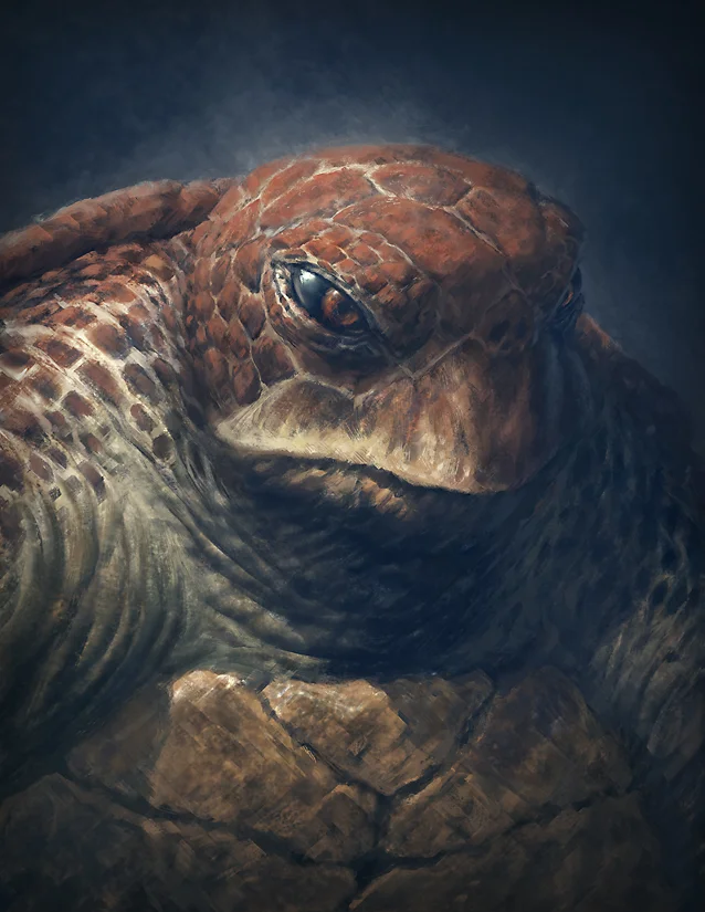 turtleman_by_bmacsmith-d7qjffh.jpg