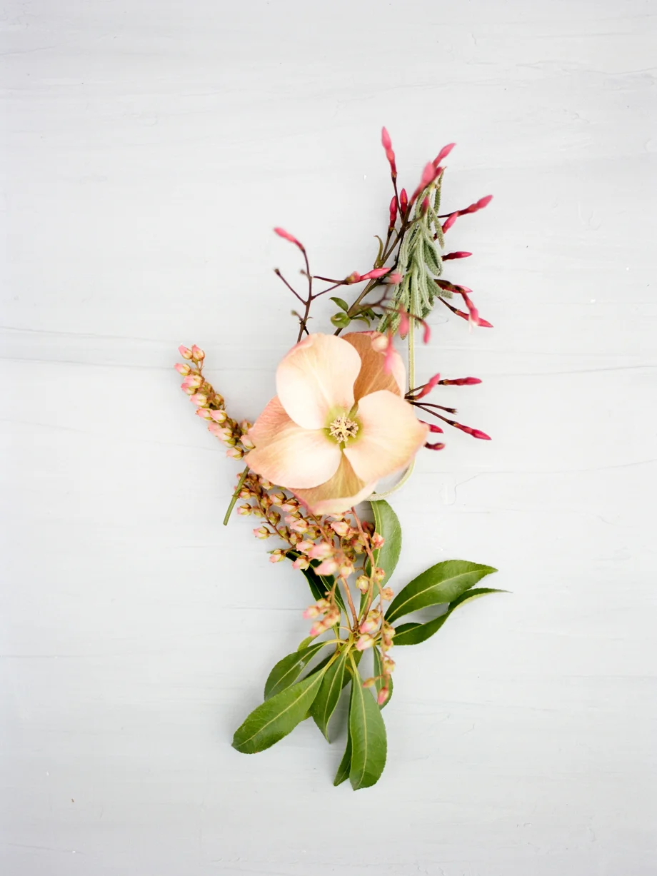 Rhianna-Mercier-Collaboration-with-Anna-Delores-Magnolia-Event-Design-Feast-and-Fest-Santa-Barbara-Wedding-Inspiration -10-9.jpg