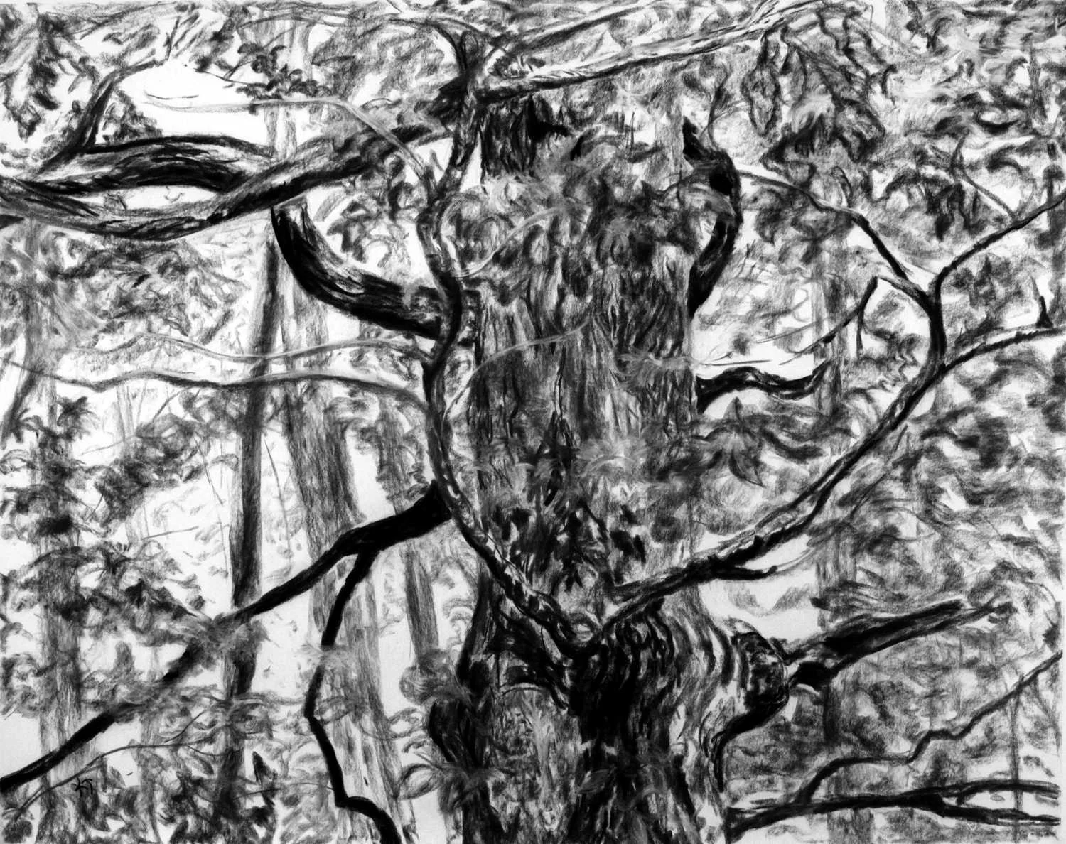 Tree I