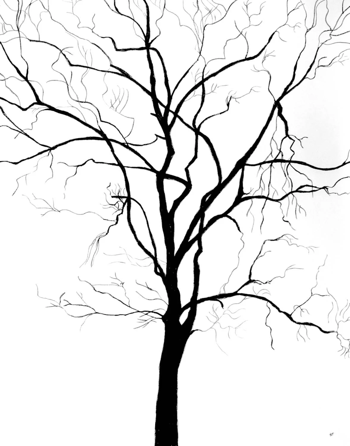 Tree 6