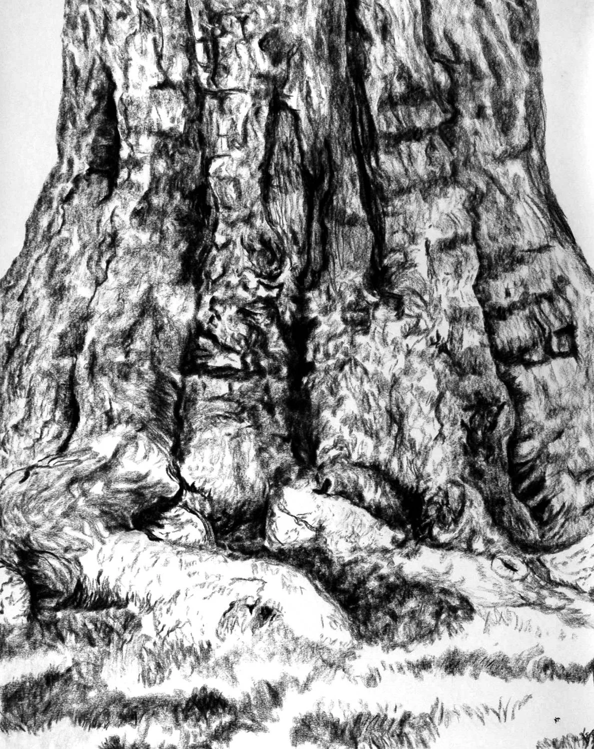Tree 9