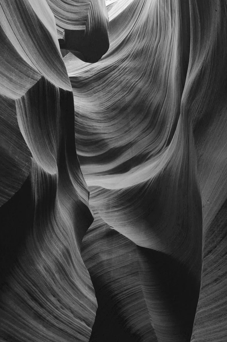 DSC_6905 bxw infra.jpg