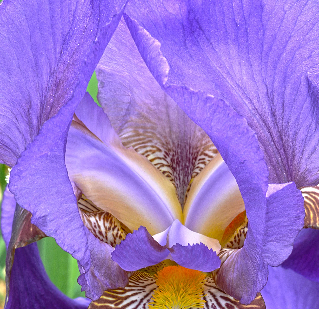DSC_6858 s.jpg
