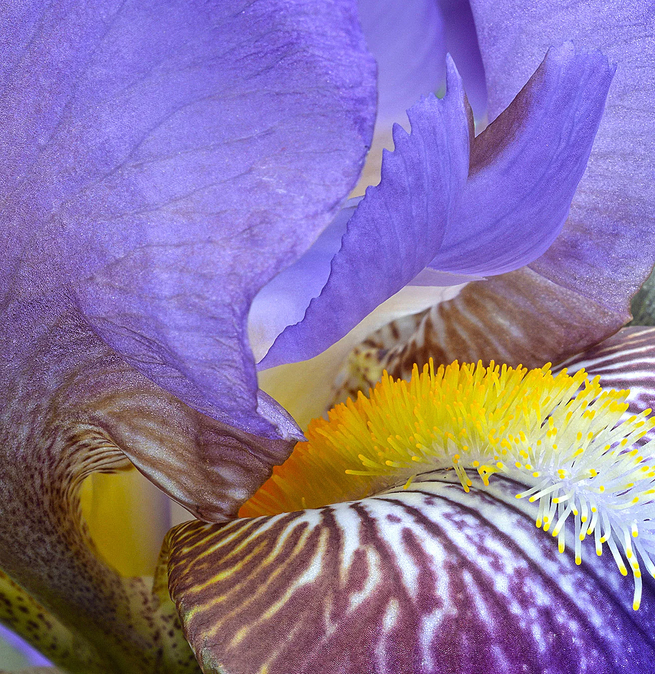 DSC_6859 s.jpg