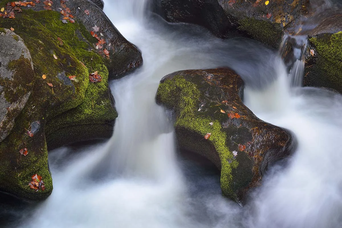 Chatooga River Detail