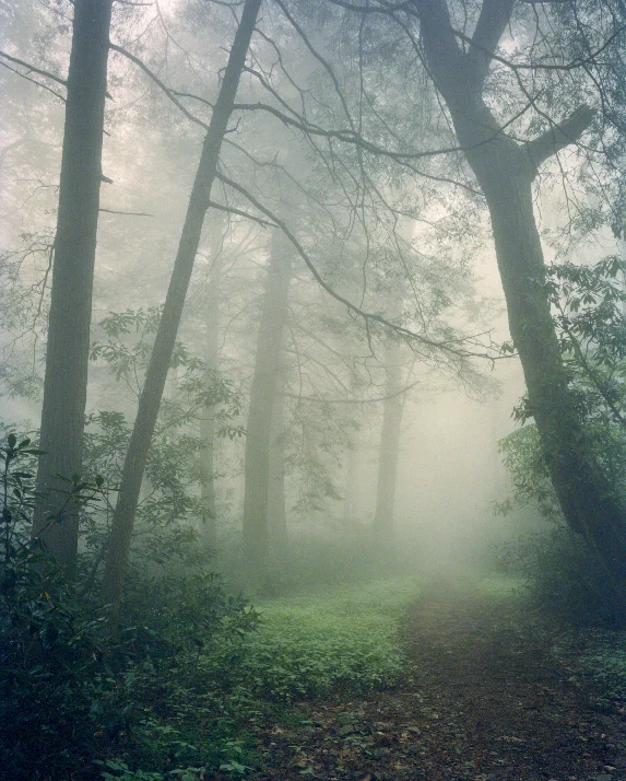 Nature's Path