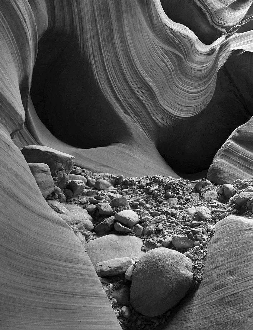 DSC_6964 bw.jpg