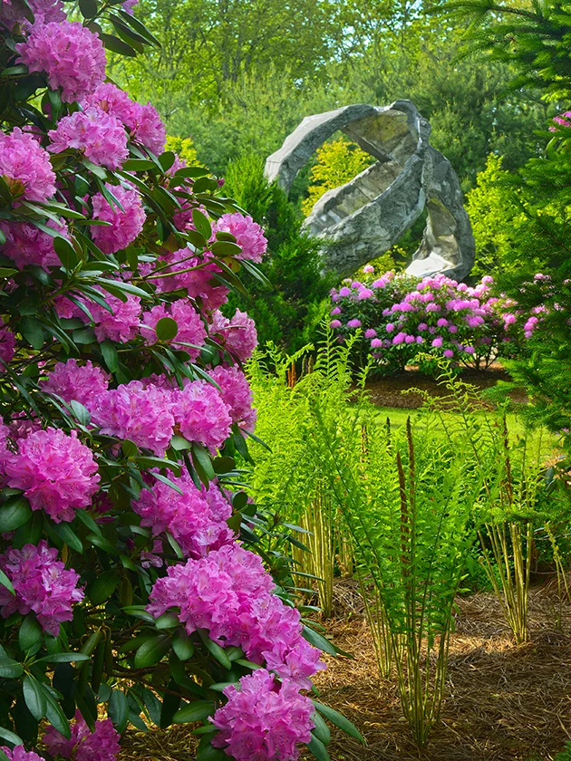 CJ Spring on the Green s.jpg