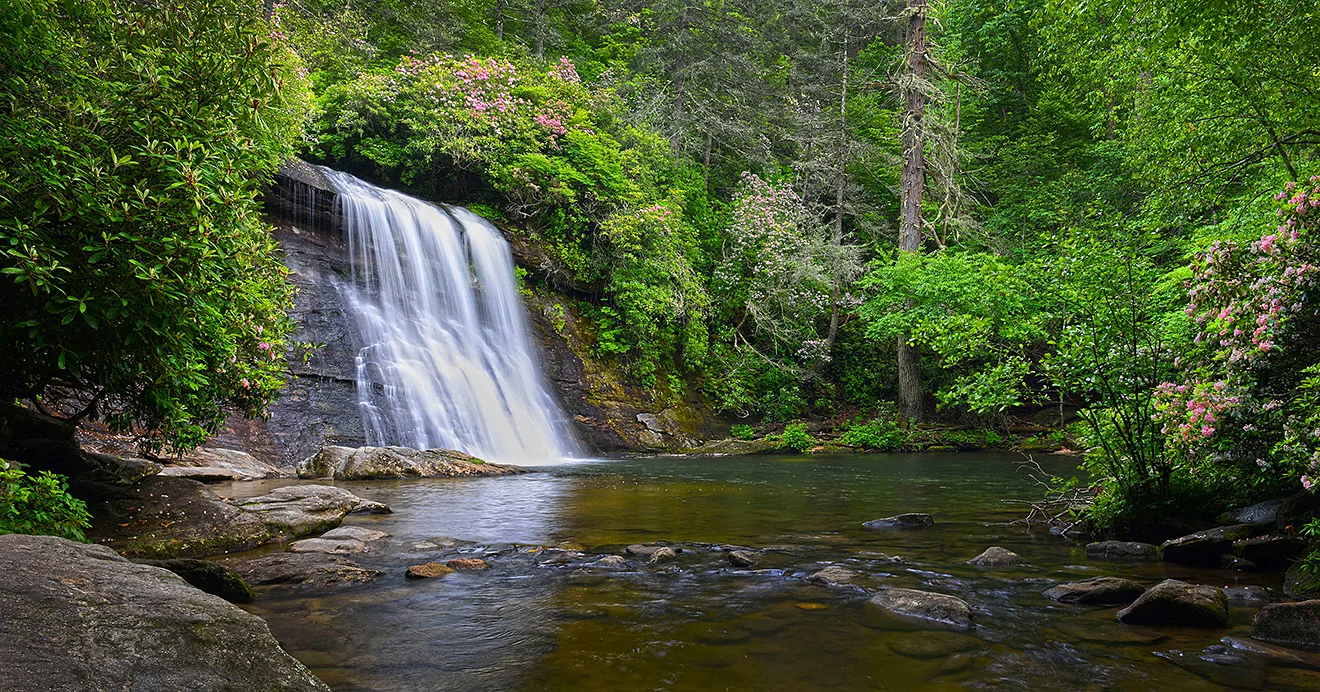 CJ Silver Run Spring.jpg