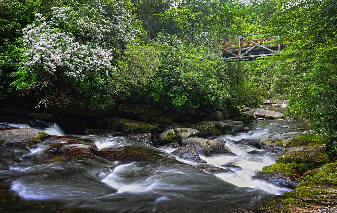 CJ Iron Bridge Spring.jpg