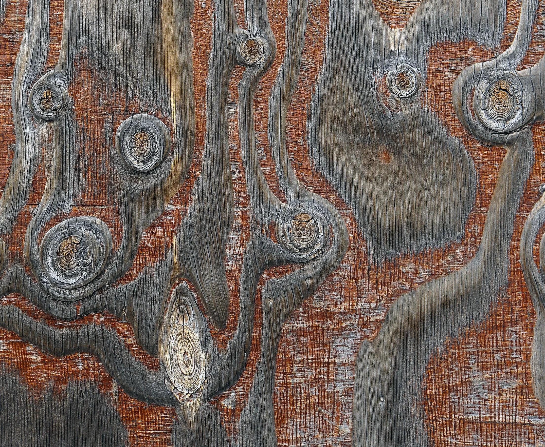 Wood Door.jpg