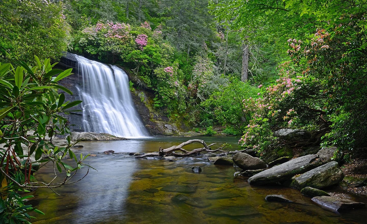 DSC_8862 Silver Run Spring.jpg