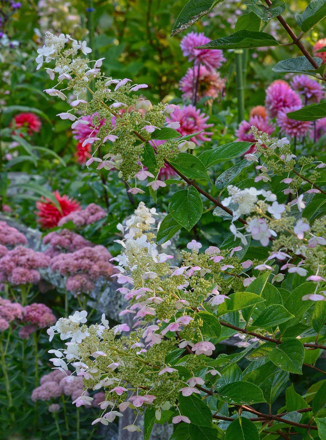 DSC_6453 hdr crop 2 sm.jpg