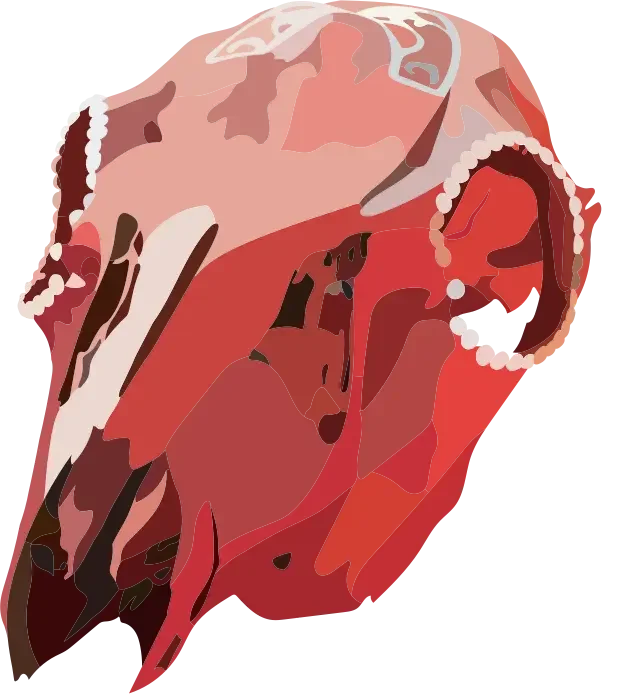  An illustrated skull that conveys the Chocolate Lanterns’ slightly creepy aesthetic. 