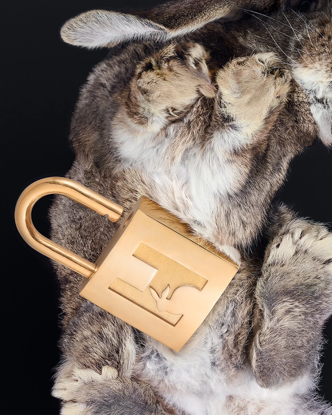 2020_Unlocked_Rabbit_Crops_4x5_V1C.jpg