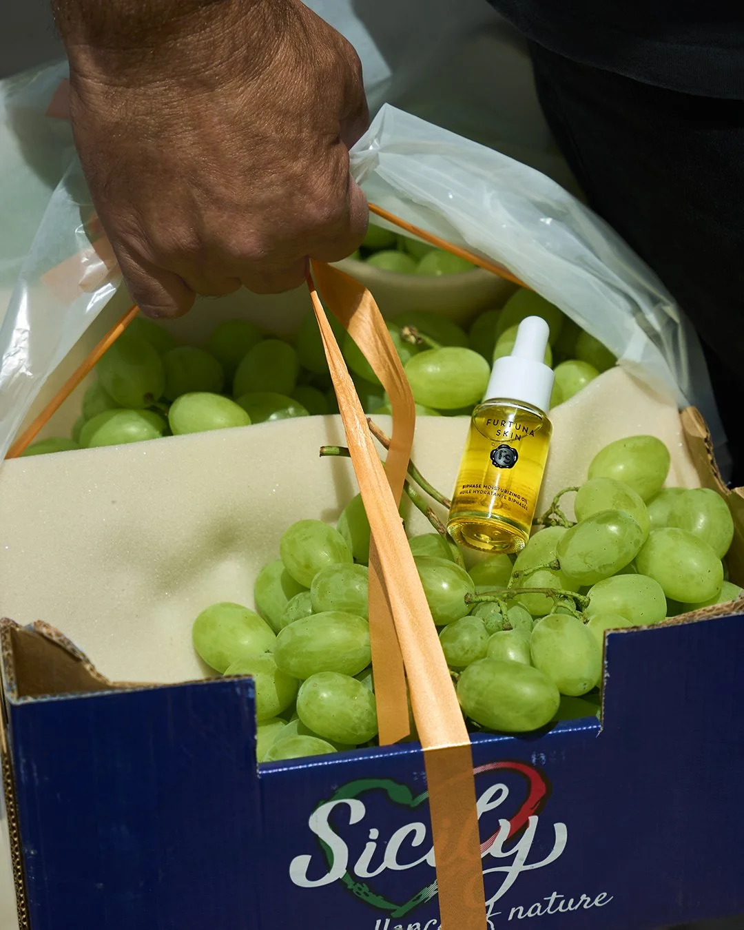 FS_RP_Sicily_TSBMO_Grapes_4X5.JPG