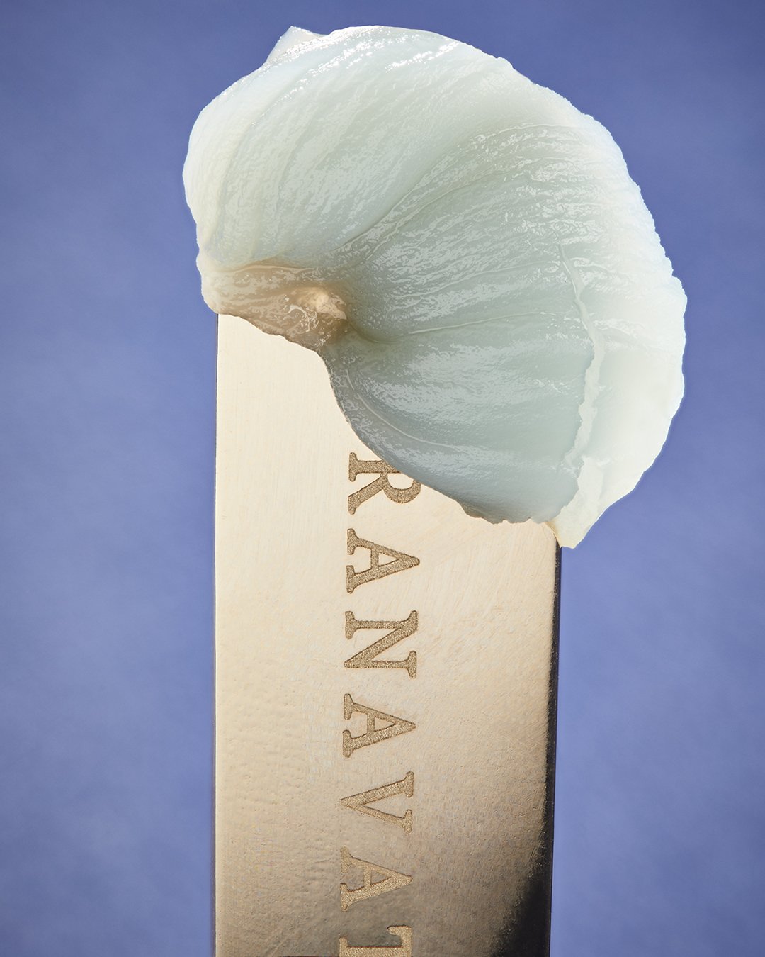 LCB_SCOOP_Spatula_4X5.jpg