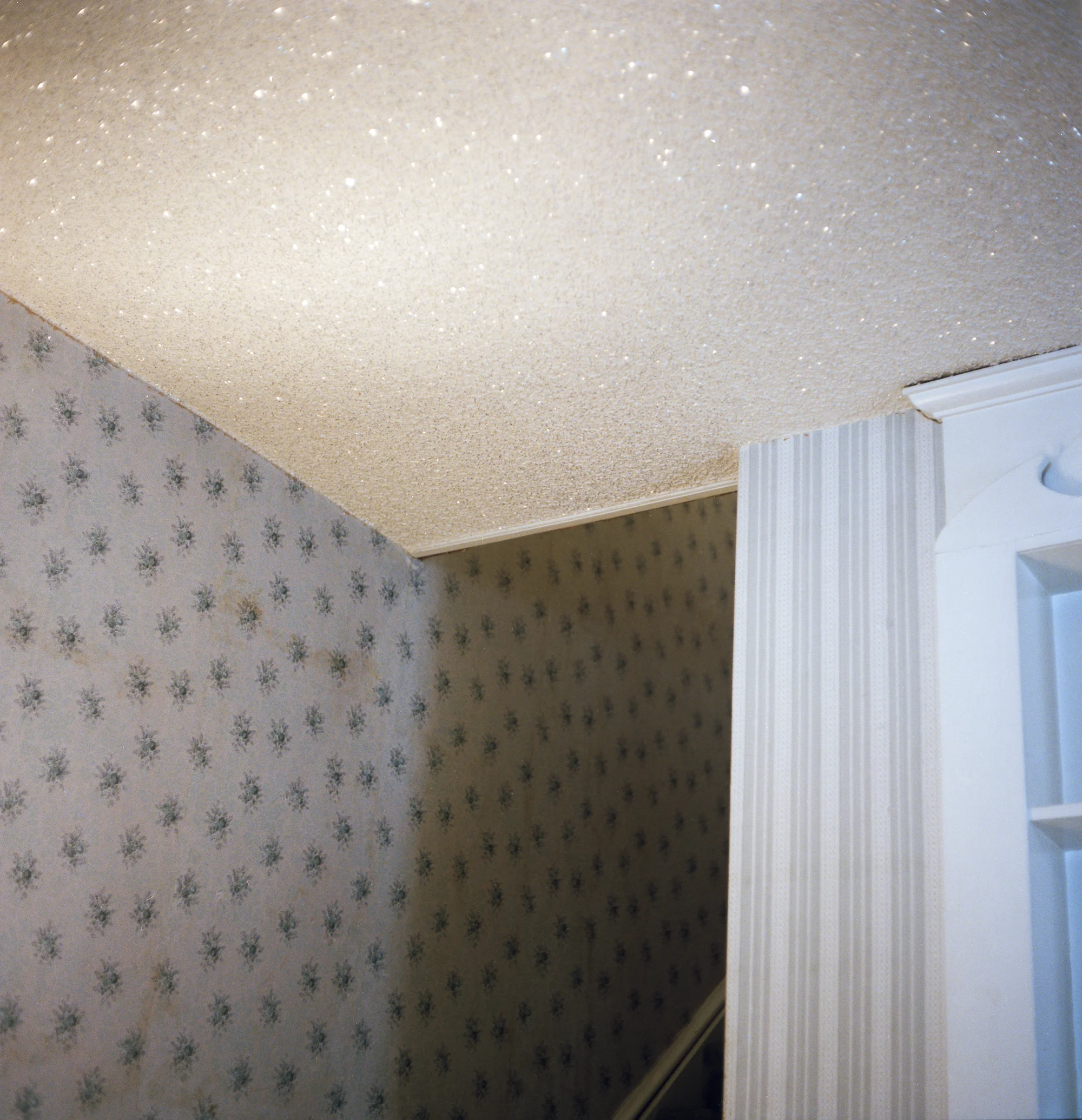 Sparkly popcorn ceiling
