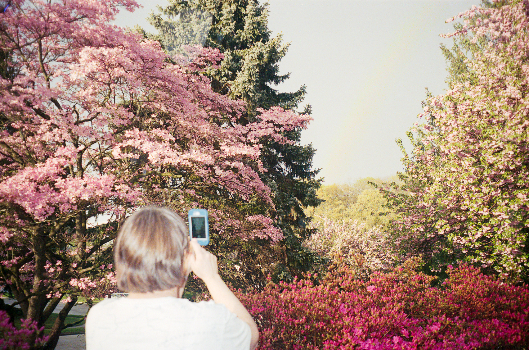 Spring rainbow