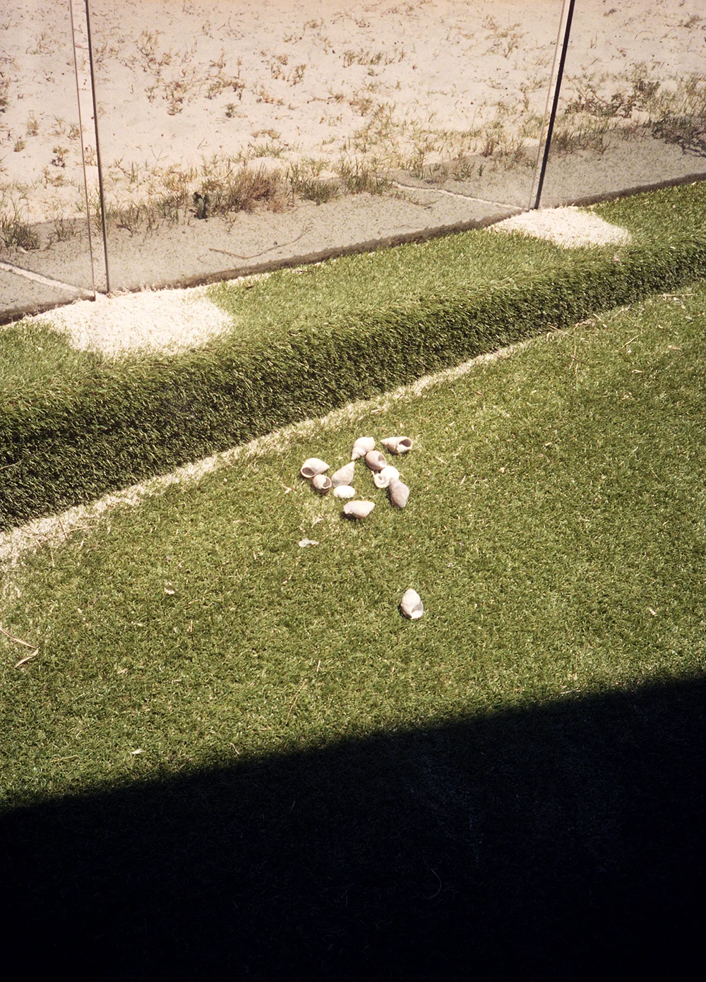 2019-2-2_019.jpg