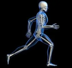 What Runners Need to Know About Running Injuries: Part III Limb Alignment