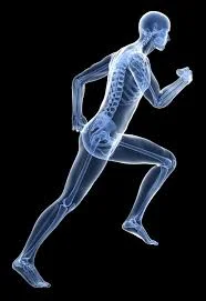 What Runners Need to Know About Injuries, Part IV:  Limb Stiffness