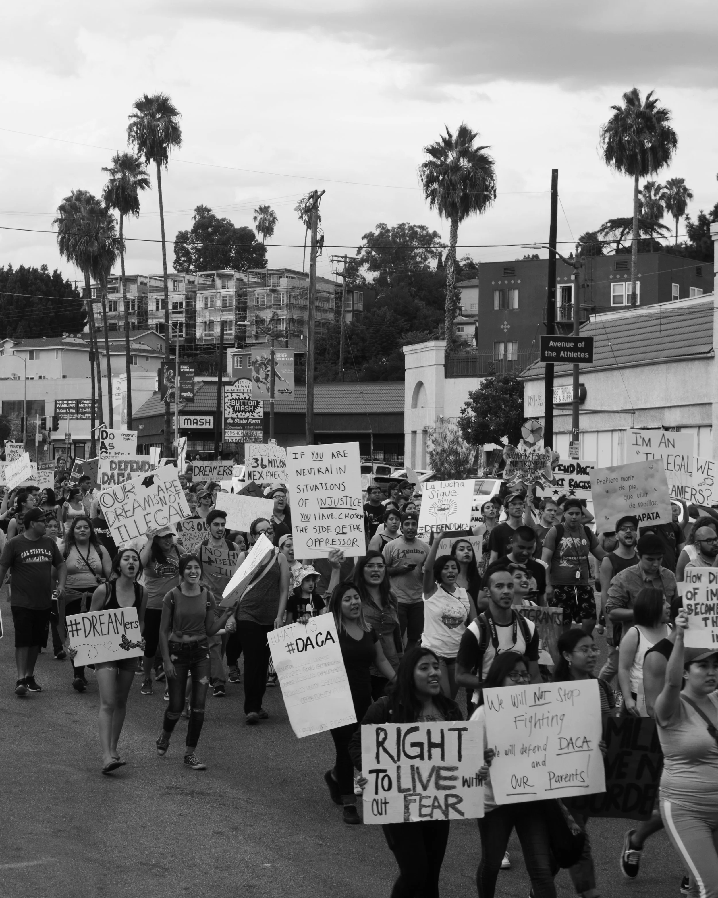RJD01139.jpg