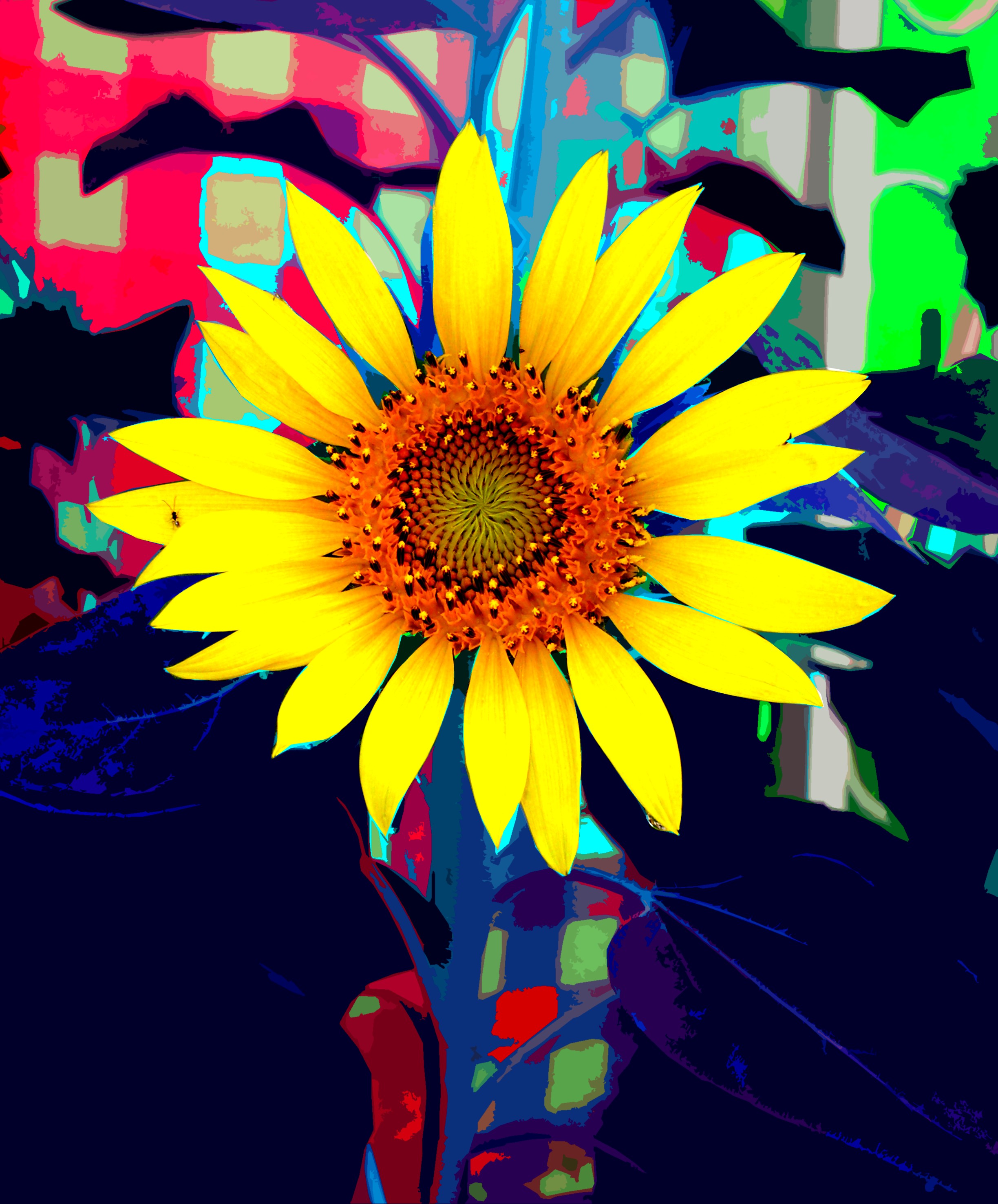 sunflower80s.jpg