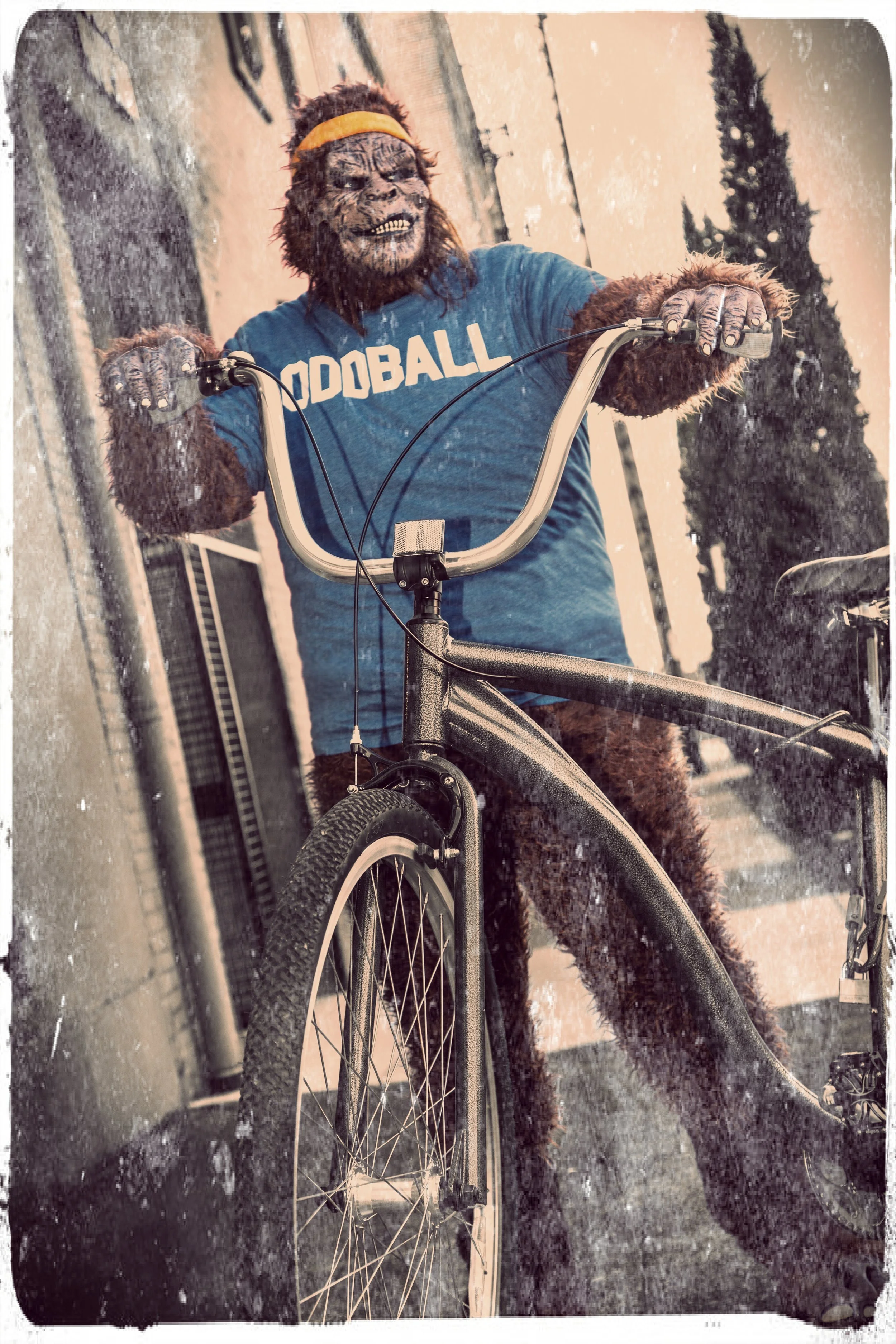 Squatch_Bike01_Carl_Old1.jpg