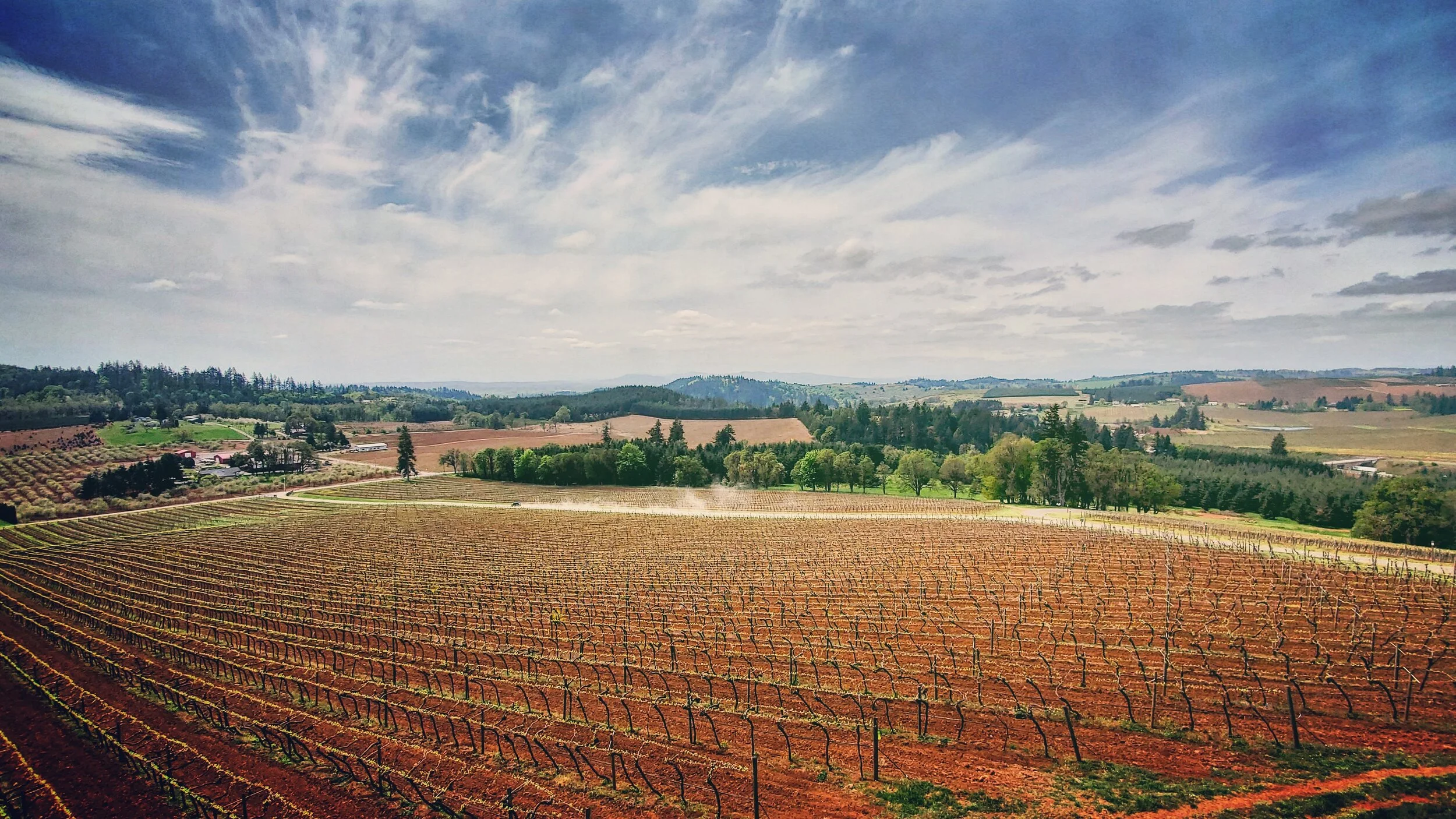 Willamette Valley Vineyards pdxpilot derek lyon