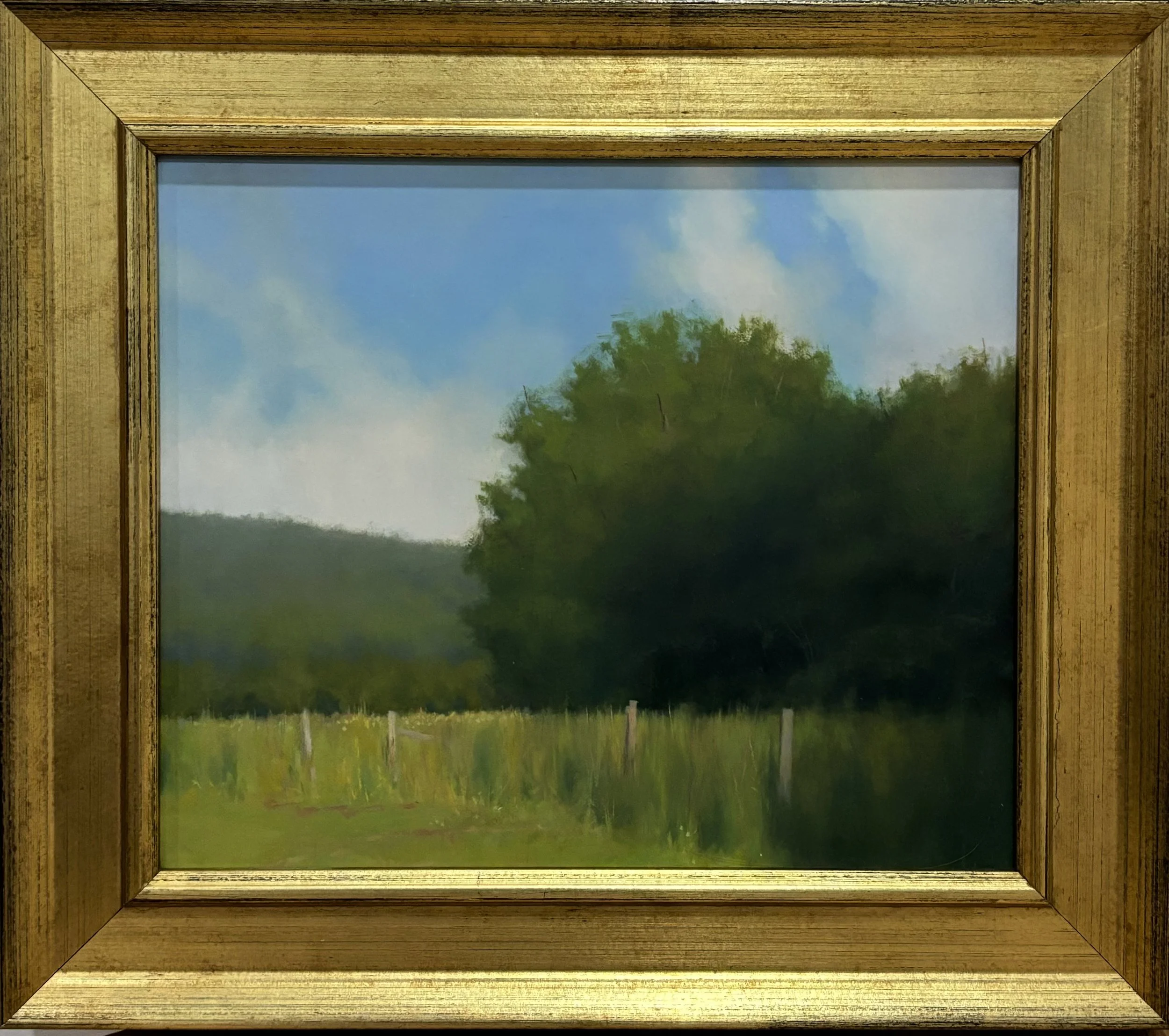 Fairfield Meadow 9 x 7.5 Framed.jpg