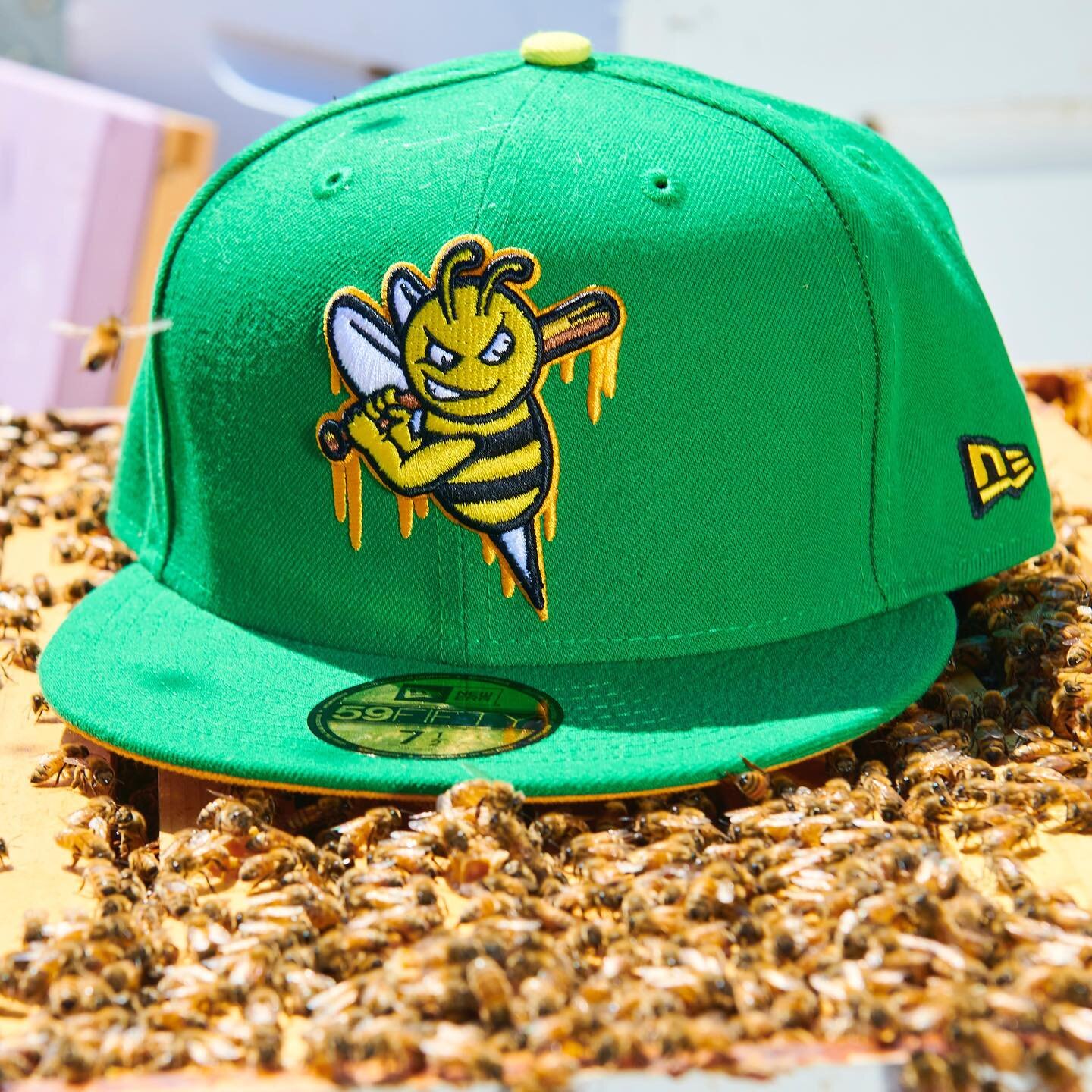 Swarm Sting 🚨 ⏭ Don&rsquo;t forget that the Honey Bee #🍯🐝 @dionicbrand cap drops TODAY in &lt; 3 hours over @hatclub .com precisely @ 1:59pm EST. Don&rsquo;t sleep these will sell out QUICK. Only had to pay for these shots with 1 sting attack ;) I