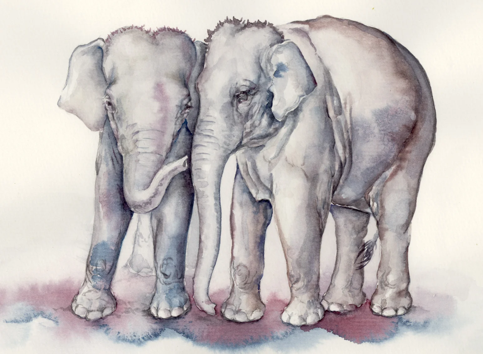 secrets amongst elephants