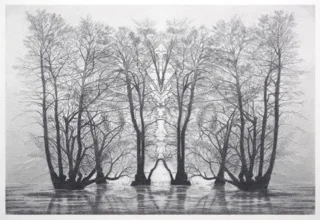 Immaculate Landscape IV